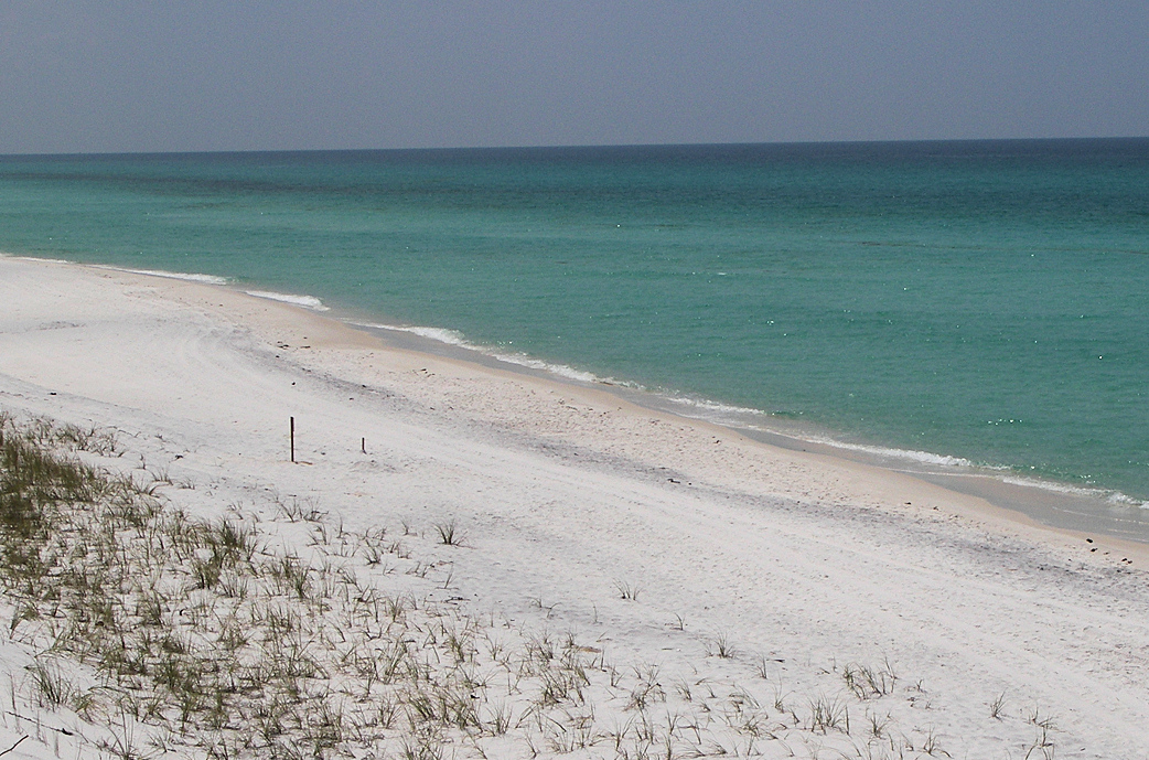 White sand and Gulf water at Grayton Beach State Park near Santa Rosa Beach